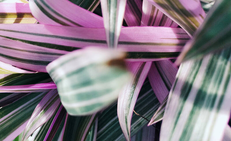 olena-shmahalo-AHct27xvHq0-unsplash__web olena-shmahalo-ahct27xvhq0-unsplash__web