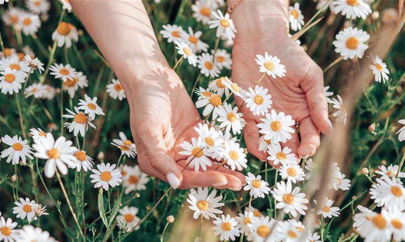shutterstock_1989778892