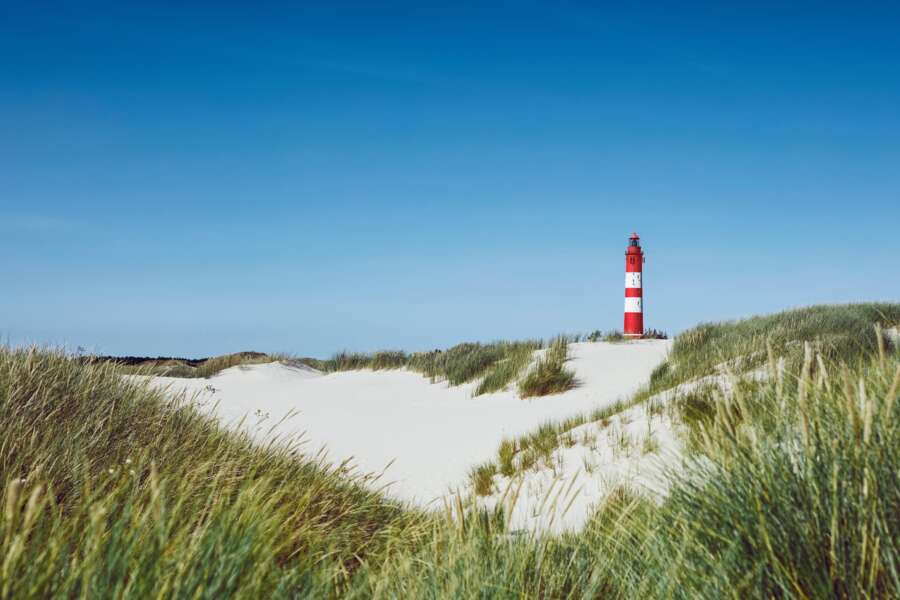 shutterstock_2281525373 (2) (1)